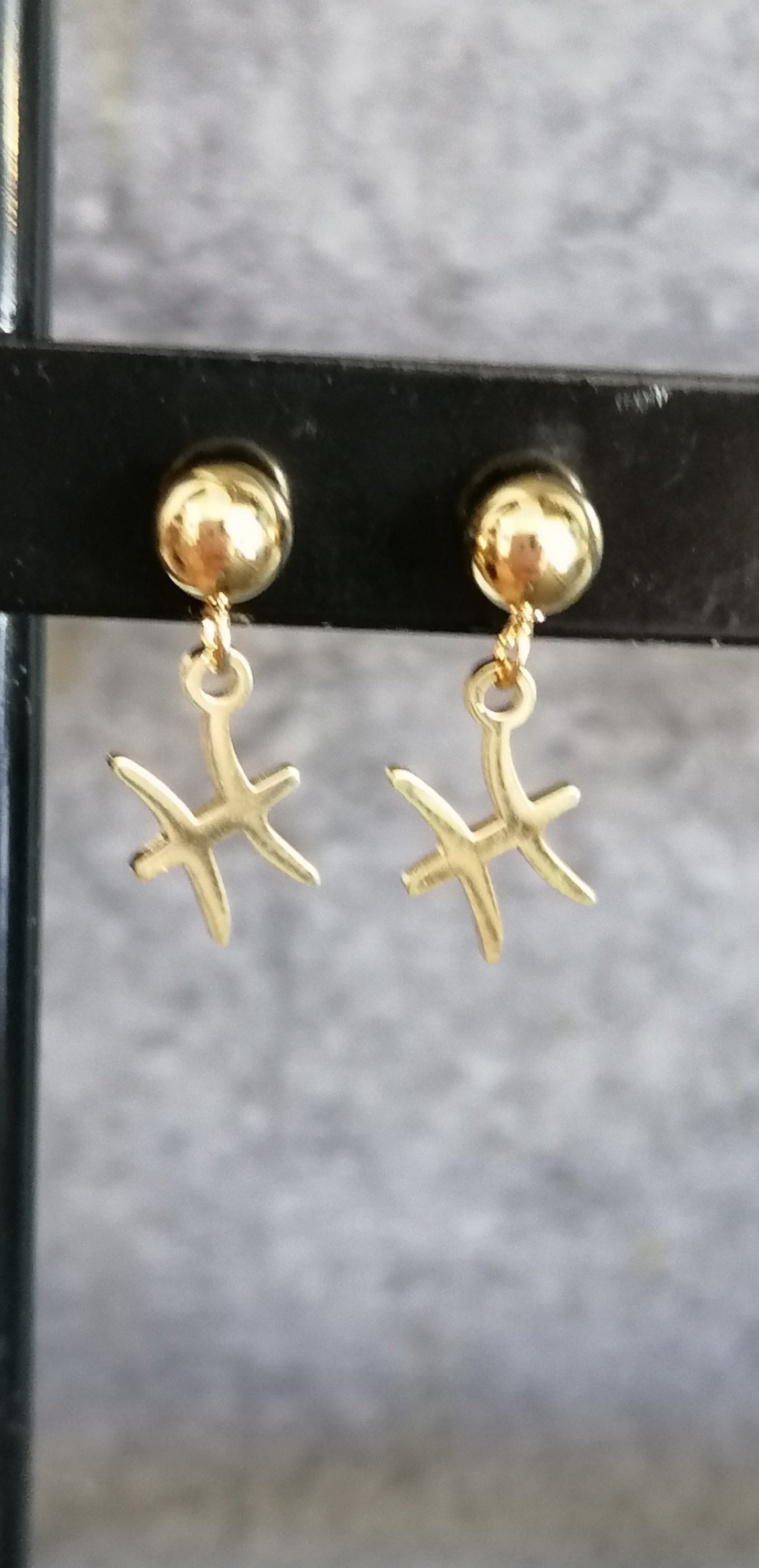 Boucles d'oreilles astro